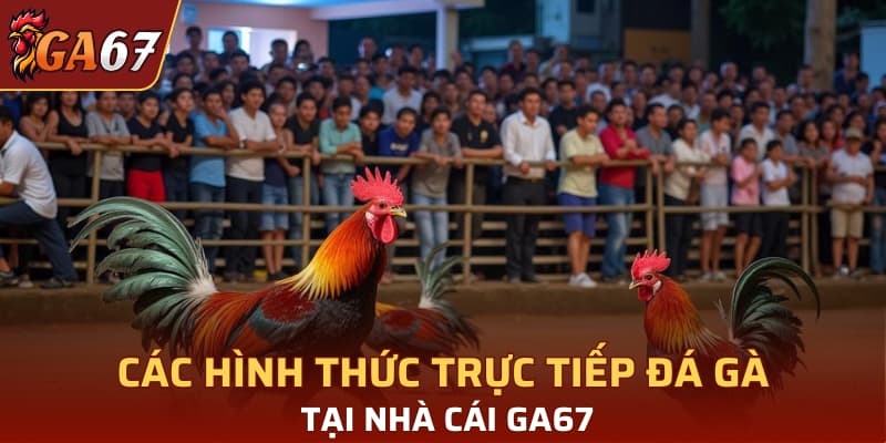 Các hình thức trực tiếp đá gà tại nhà cái GA67
