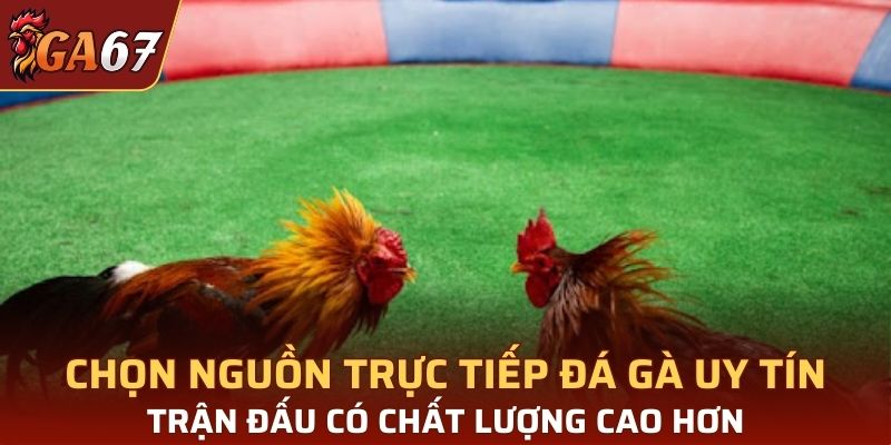 Chọn nguồn trực tiếp uy tín mang lại chất lượng trận đấu tốt hơn