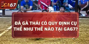 đá gà Thái