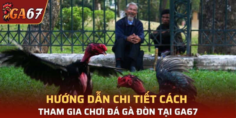 Hướng dẫn chi tiết cách tham gia chơi đá gà đòn tại GA67