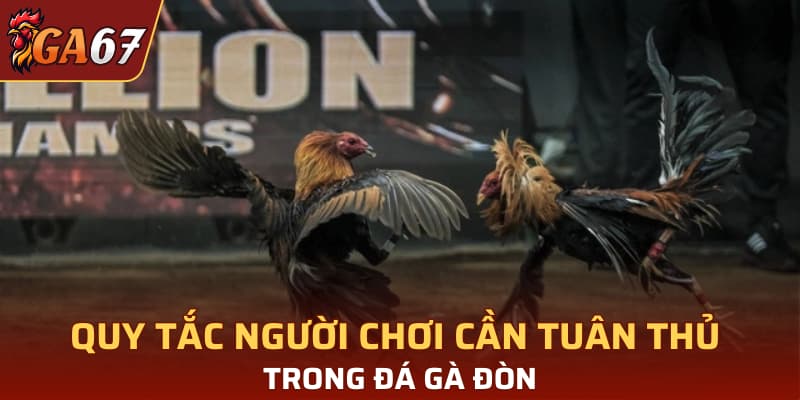 Quy tắc người chơi cần tuân thủ trong đá gà đòn