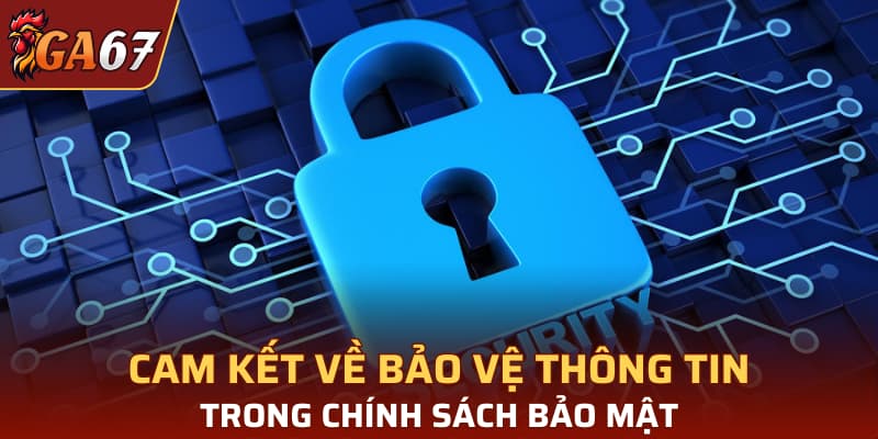 Cam kết về bảo vệ thông tin trong chính sách bảo mật