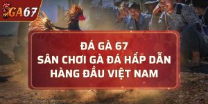đá gà 67
