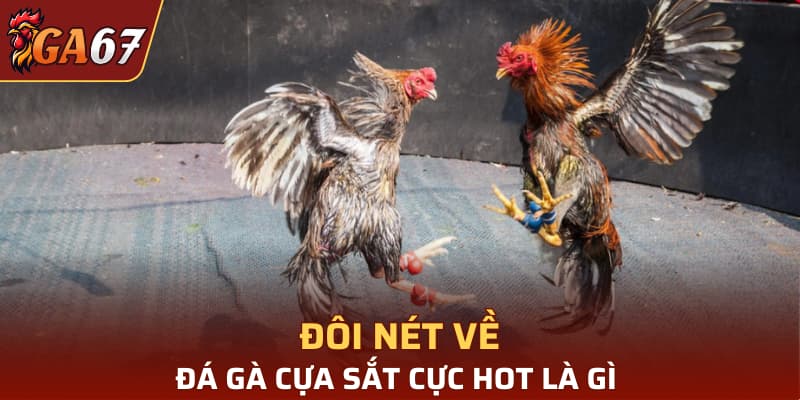 Đôi nét về đá gà cựa sắt cực hot là gì 