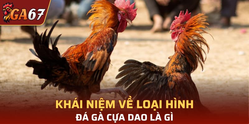 Khái niệm về loại hình đá gà cựa dao là gì