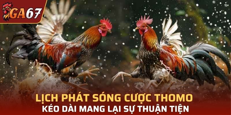 Lịch phát sóng cược Thomo kéo dài mang lại sự thuận tiện