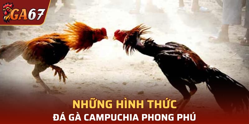 Những hình thức đá gà Campuchia phong phú