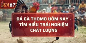 Thomo hôm nay