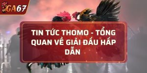 tin tức Thomo