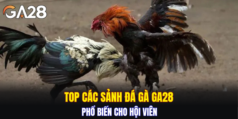 Top các sảnh đá gà GA28 phổ biến cho hội viên